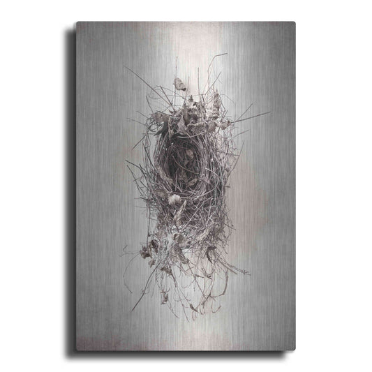 Luxe Metal Art 'Nest II' by Debra Van Swearingen, Metal Wall Art