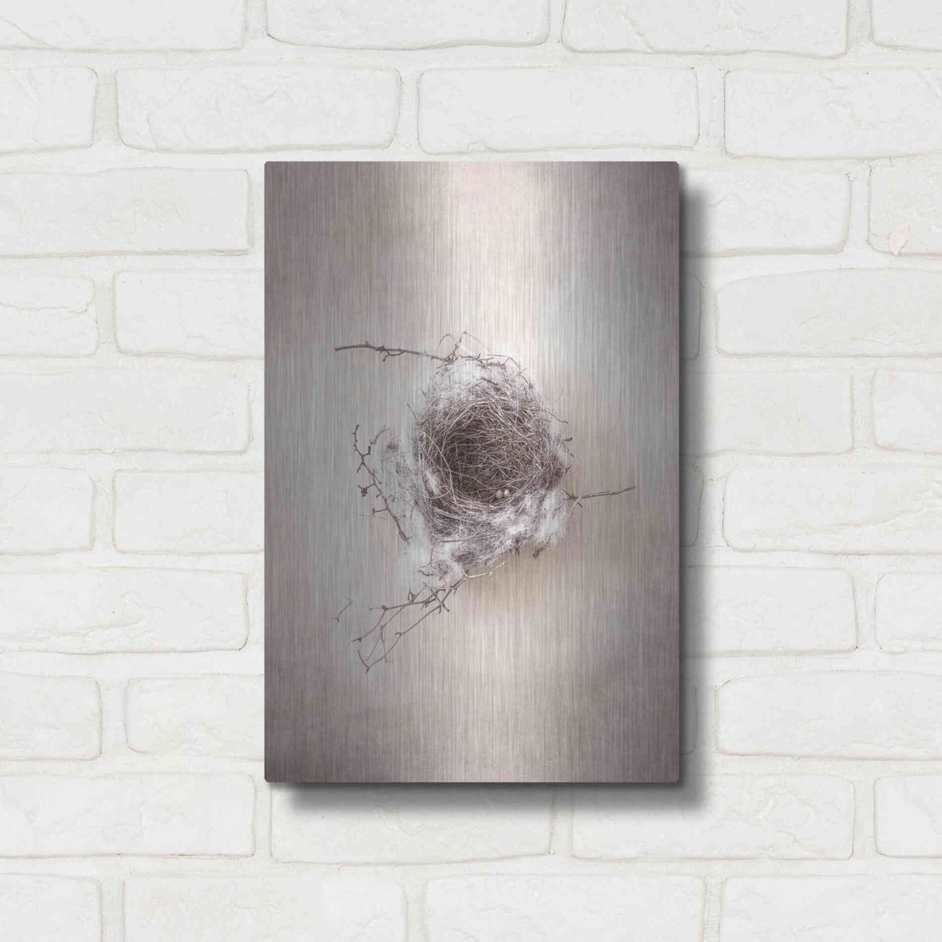 Luxe Metal Art 'Nest III' by Debra Van Swearingen, Metal Wall Art,12x16