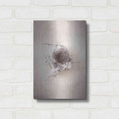 Luxe Metal Art 'Nest III' by Debra Van Swearingen, Metal Wall Art,12x16