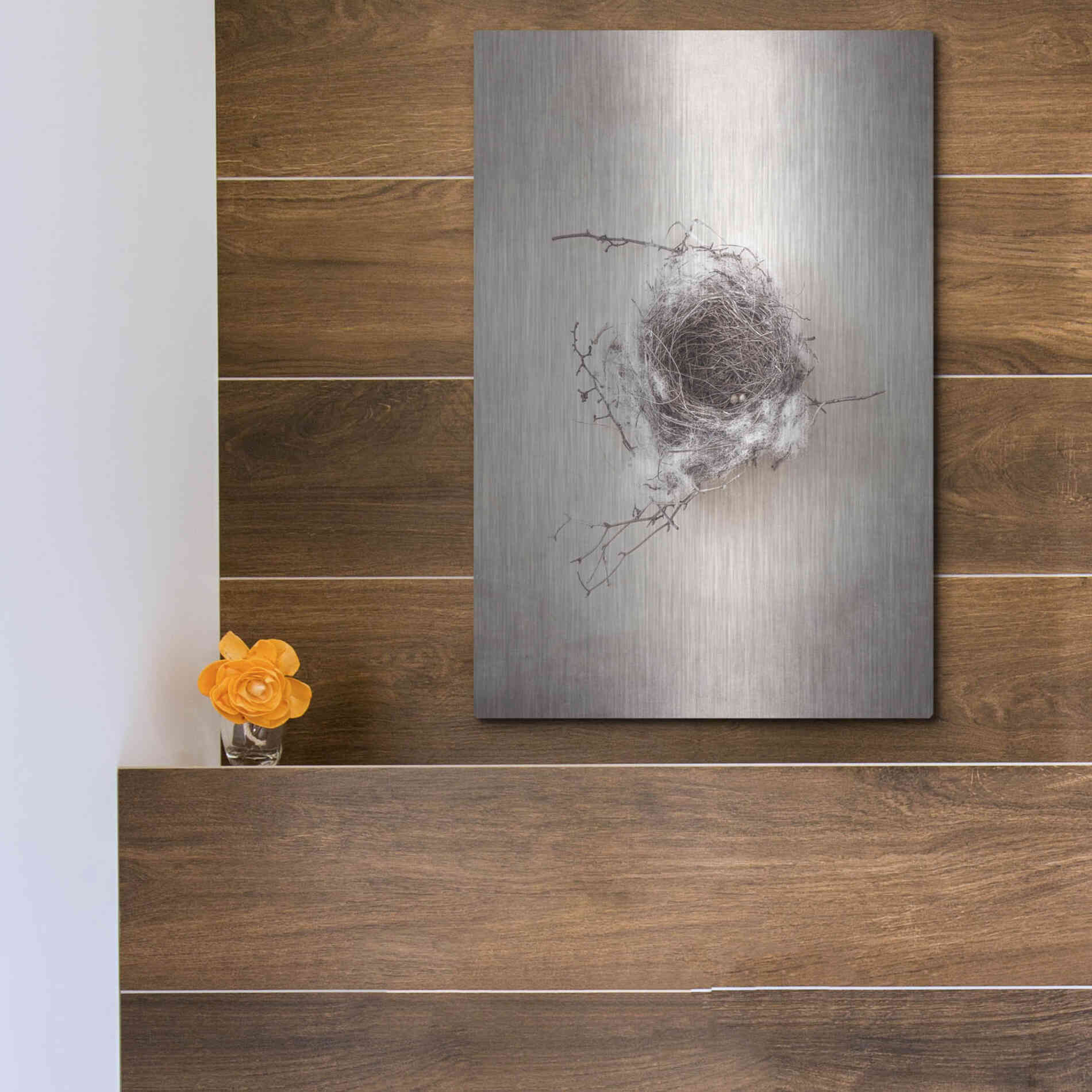 Luxe Metal Art 'Nest III' by Debra Van Swearingen, Metal Wall Art,12x16