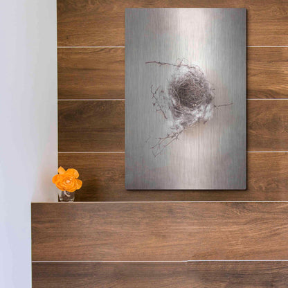 Luxe Metal Art 'Nest III' by Debra Van Swearingen, Metal Wall Art,12x16