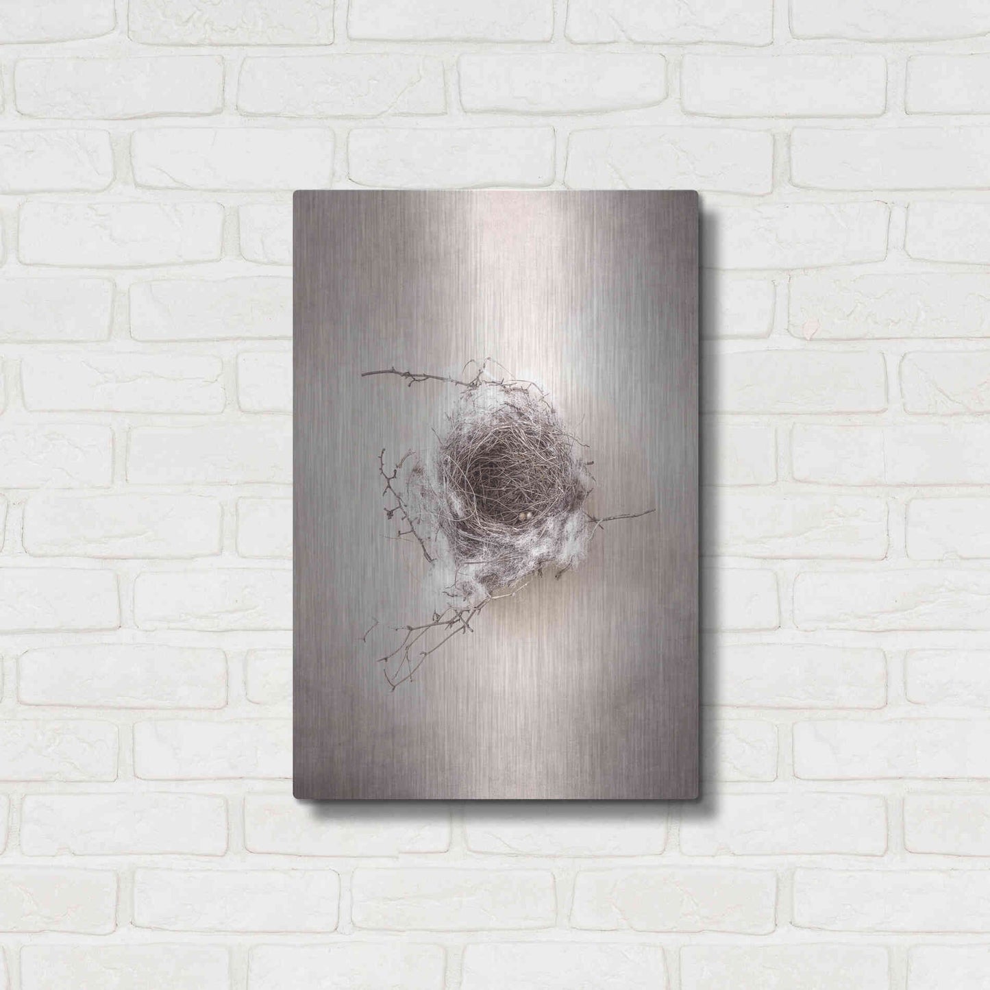 Luxe Metal Art 'Nest III' by Debra Van Swearingen, Metal Wall Art,16x24