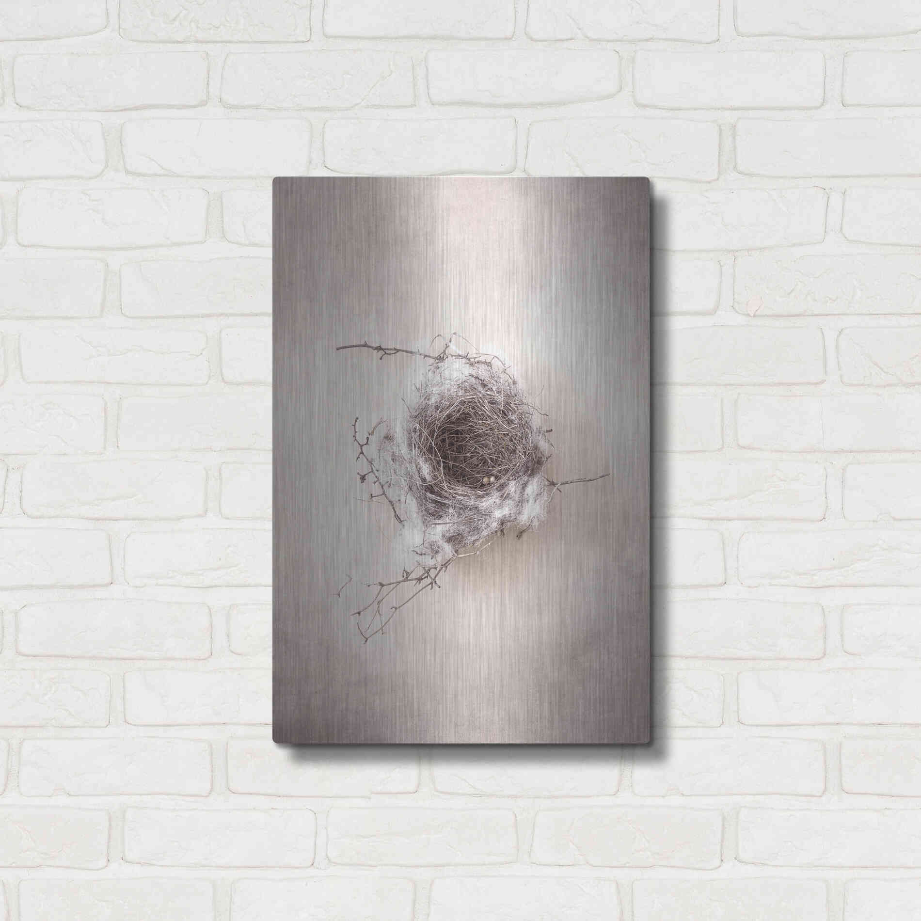 Luxe Metal Art 'Nest III' by Debra Van Swearingen, Metal Wall Art,16x24