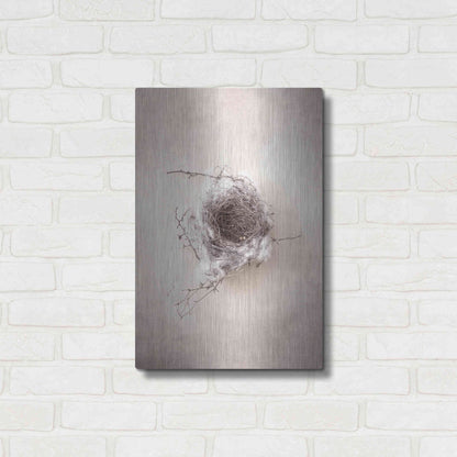 Luxe Metal Art 'Nest III' by Debra Van Swearingen, Metal Wall Art,16x24