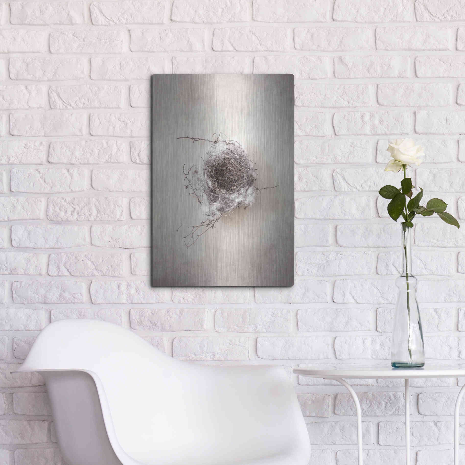 Luxe Metal Art 'Nest III' by Debra Van Swearingen, Metal Wall Art,16x24