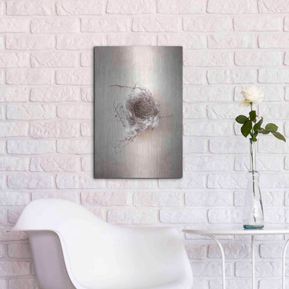Luxe Metal Art 'Nest III' by Debra Van Swearingen, Metal Wall Art,16x24