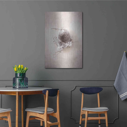 Luxe Metal Art 'Nest III' by Debra Van Swearingen, Metal Wall Art,24x36