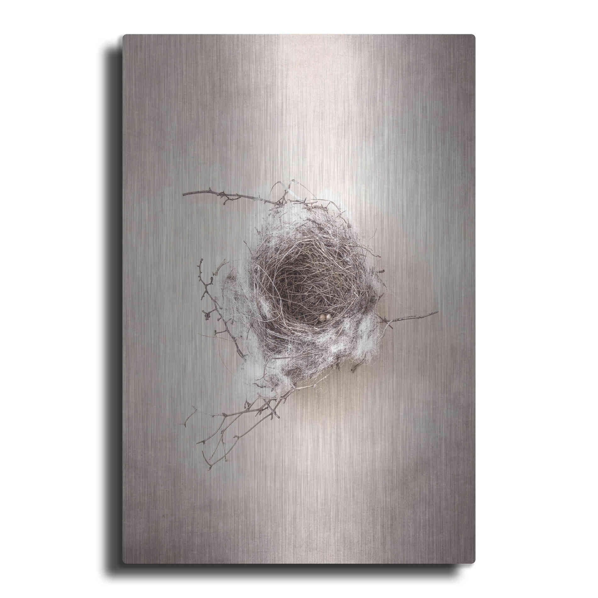Luxe Metal Art 'Nest III' by Debra Van Swearingen, Metal Wall Art