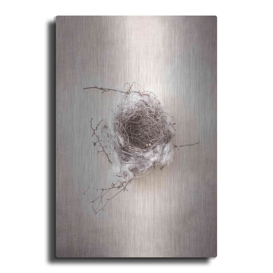 Luxe Metal Art 'Nest III' by Debra Van Swearingen, Metal Wall Art