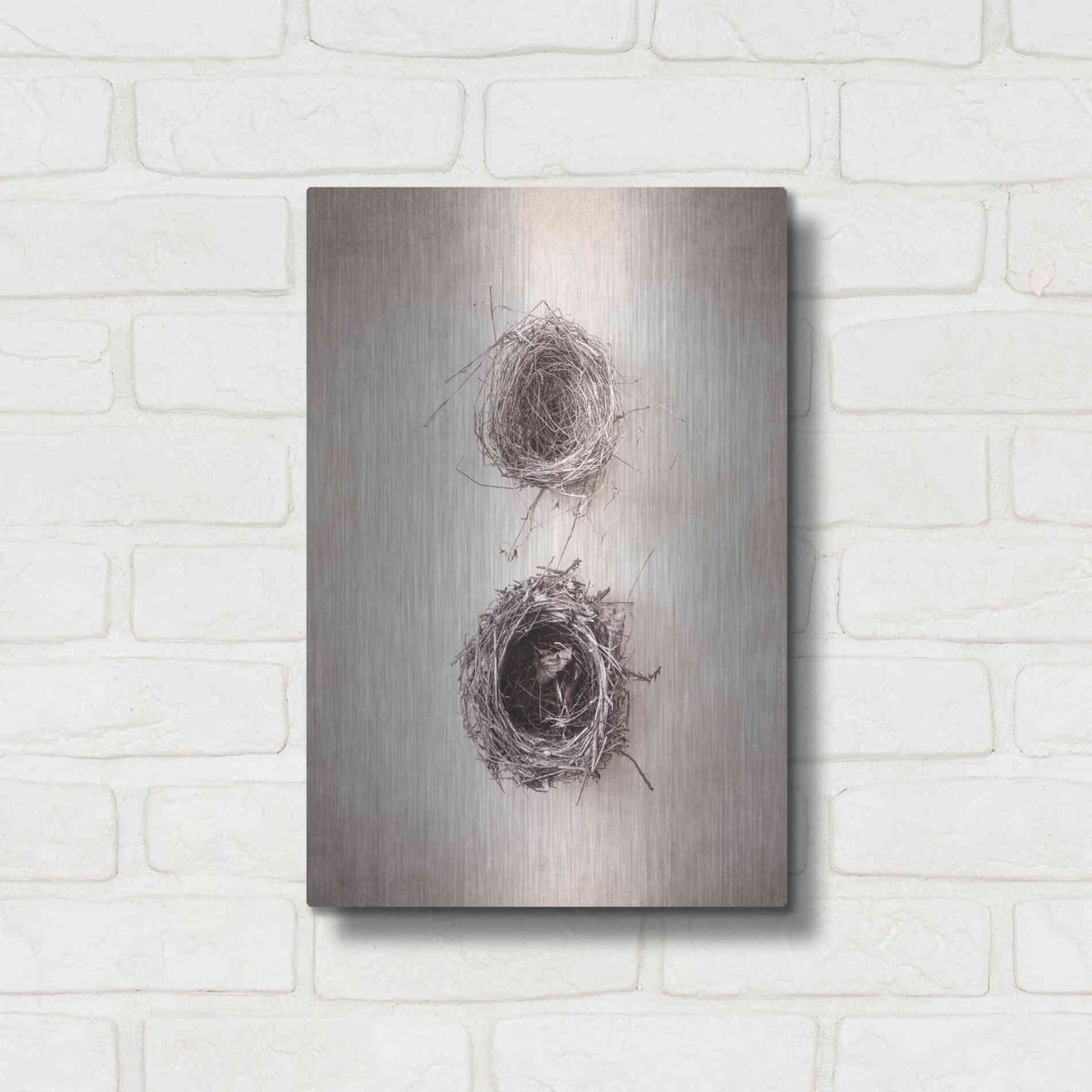 Luxe Metal Art 'Nest IV' by Debra Van Swearingen, Metal Wall Art,12x16