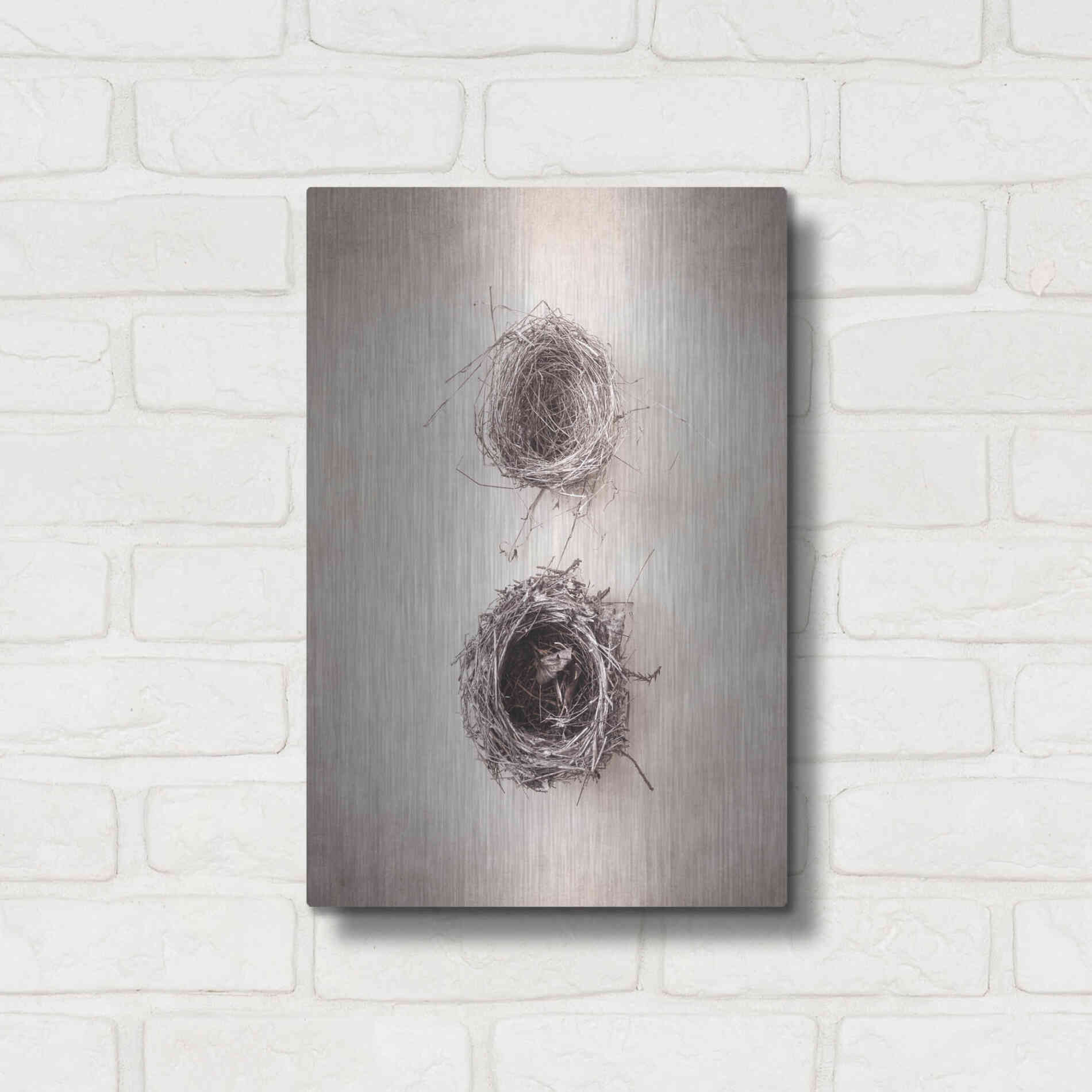 Luxe Metal Art 'Nest IV' by Debra Van Swearingen, Metal Wall Art,12x16