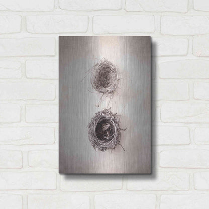 Luxe Metal Art 'Nest IV' by Debra Van Swearingen, Metal Wall Art,12x16