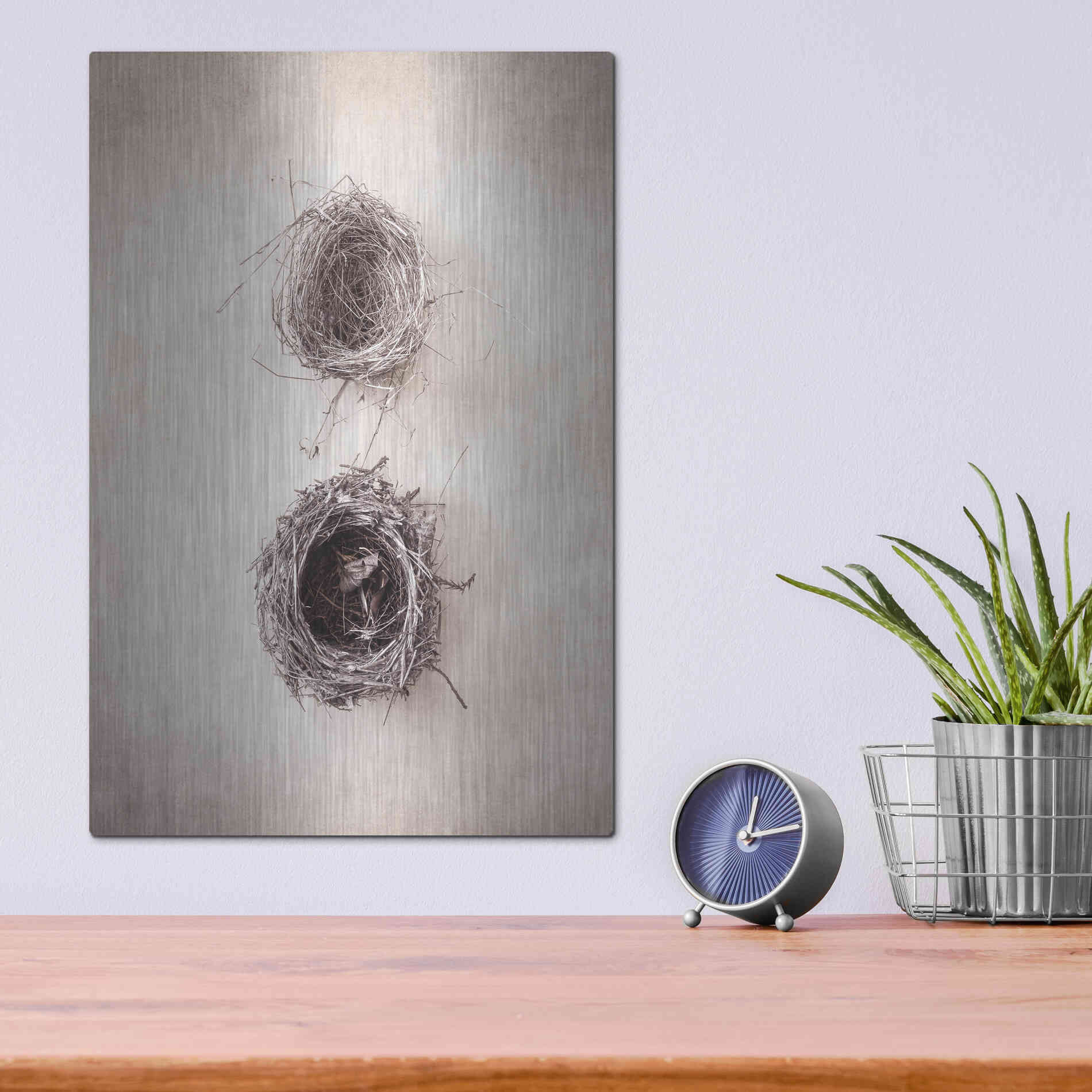 Luxe Metal Art 'Nest IV' by Debra Van Swearingen, Metal Wall Art,12x16