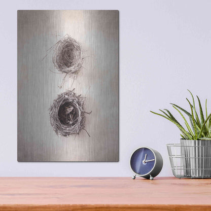 Luxe Metal Art 'Nest IV' by Debra Van Swearingen, Metal Wall Art,12x16