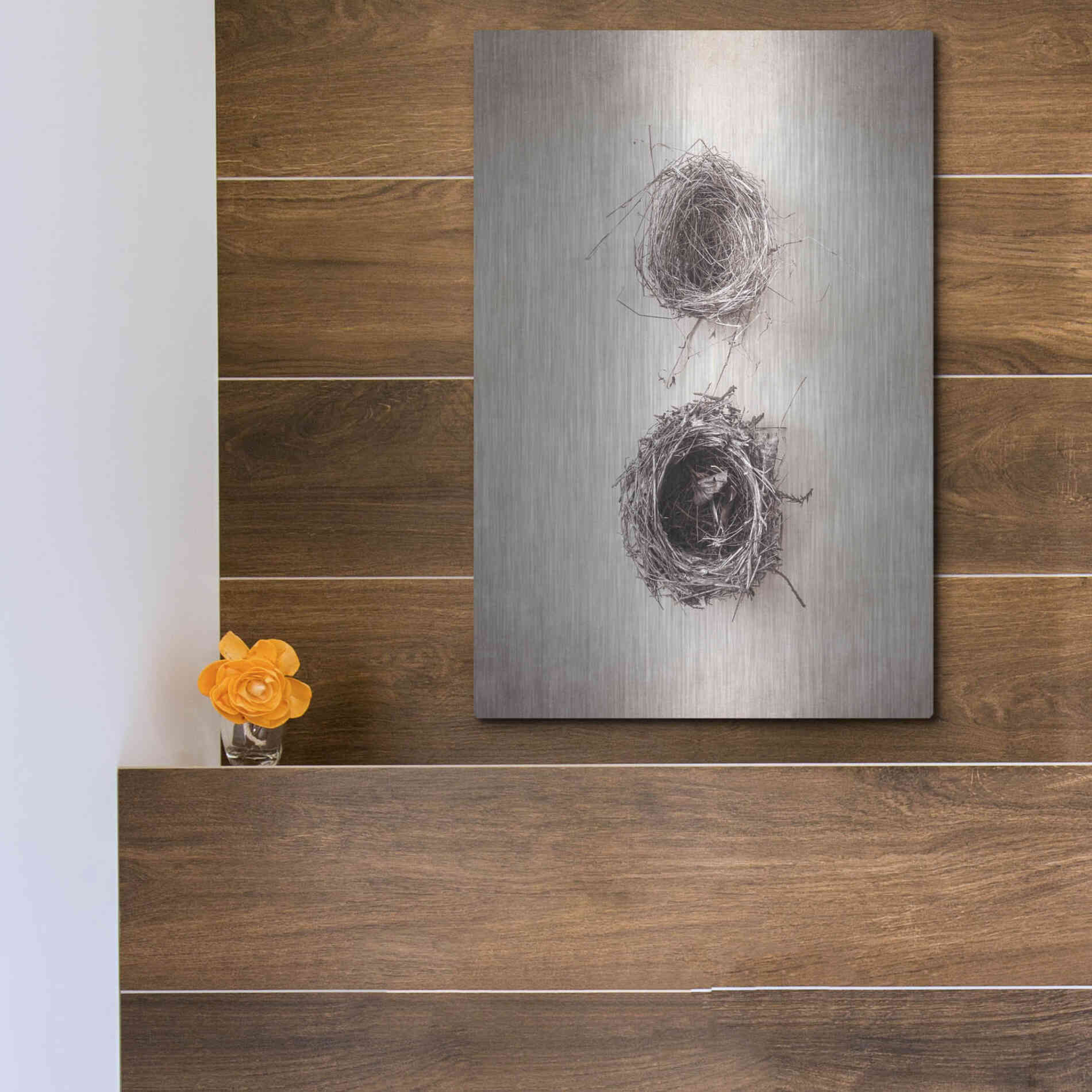 Luxe Metal Art 'Nest IV' by Debra Van Swearingen, Metal Wall Art,12x16