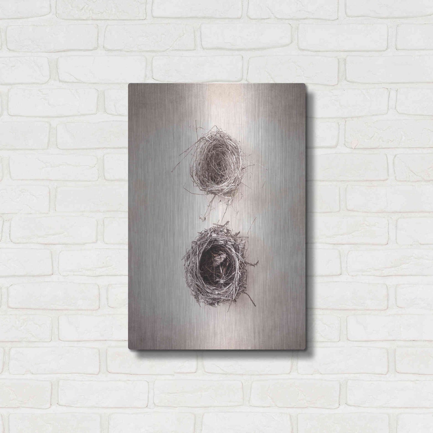Luxe Metal Art 'Nest IV' by Debra Van Swearingen, Metal Wall Art,16x24