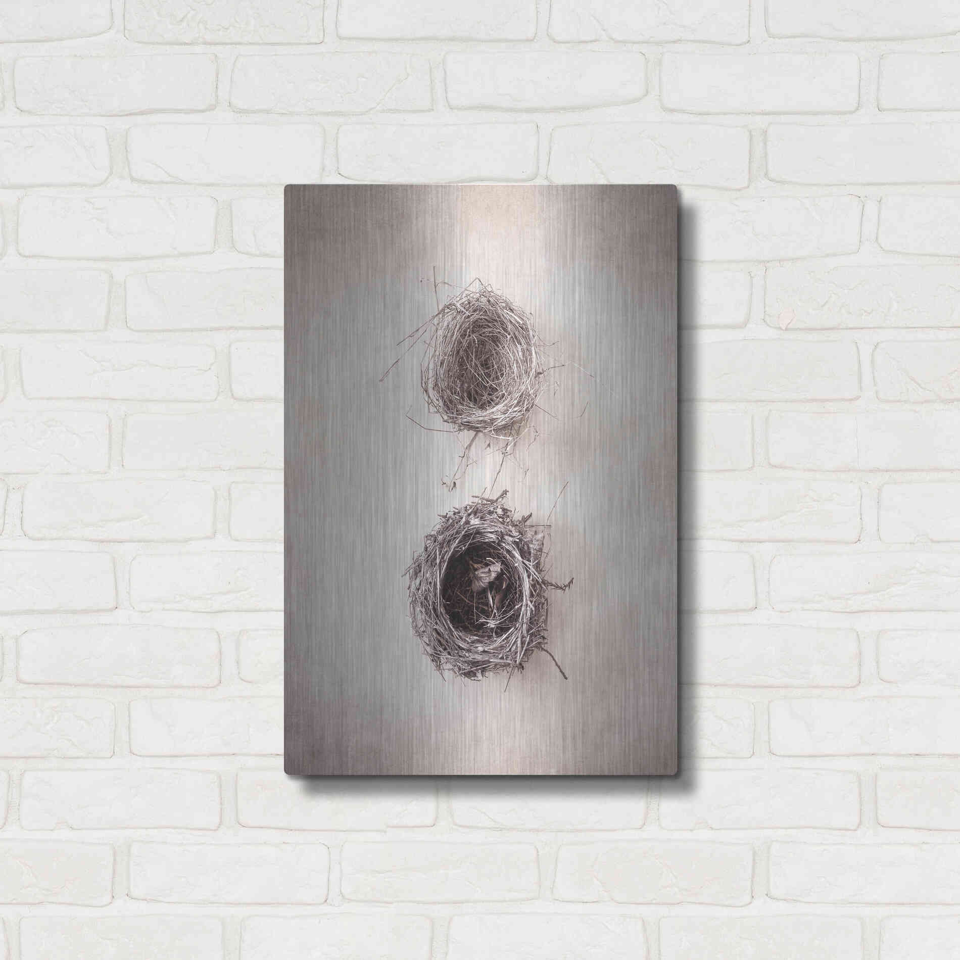 Luxe Metal Art 'Nest IV' by Debra Van Swearingen, Metal Wall Art,16x24