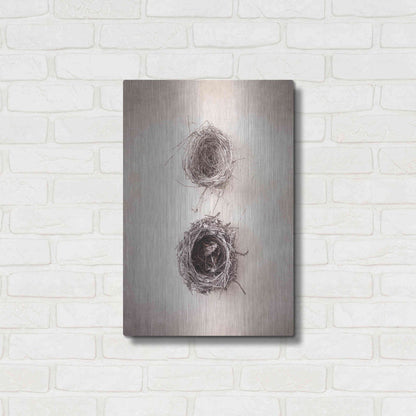 Luxe Metal Art 'Nest IV' by Debra Van Swearingen, Metal Wall Art,16x24