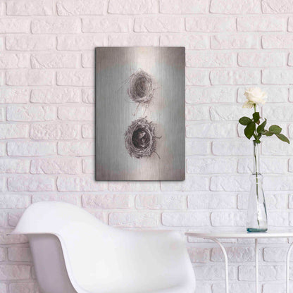 Luxe Metal Art 'Nest IV' by Debra Van Swearingen, Metal Wall Art,16x24
