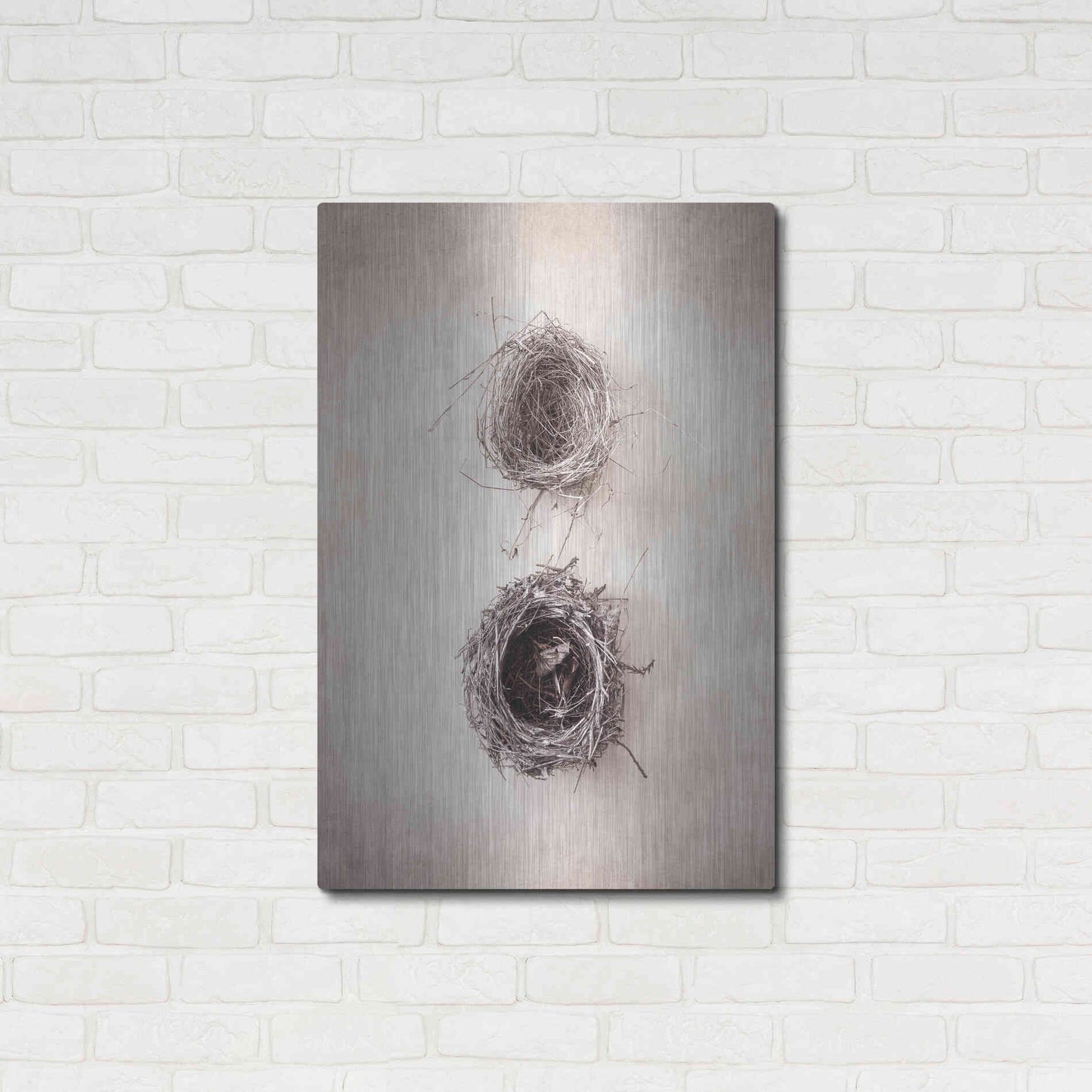 Luxe Metal Art 'Nest IV' by Debra Van Swearingen, Metal Wall Art,24x36