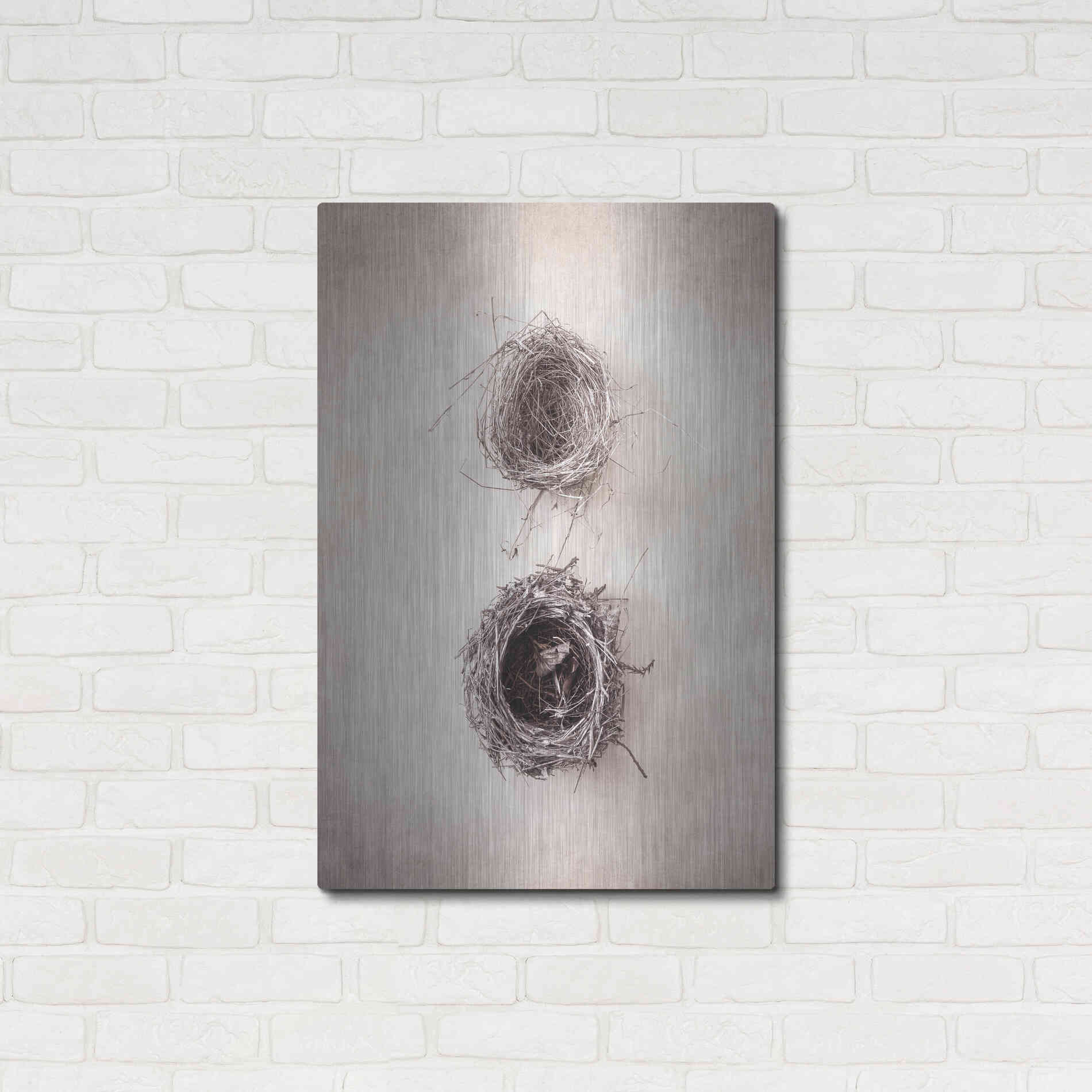 Luxe Metal Art 'Nest IV' by Debra Van Swearingen, Metal Wall Art,24x36