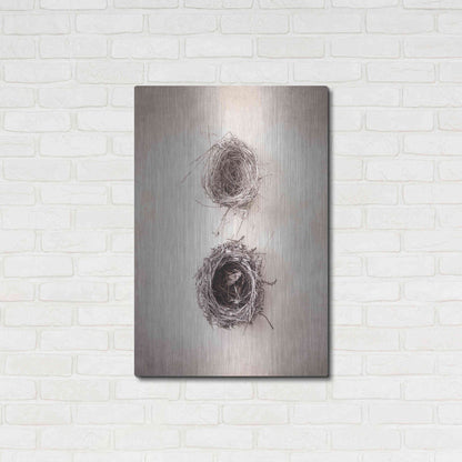 Luxe Metal Art 'Nest IV' by Debra Van Swearingen, Metal Wall Art,24x36