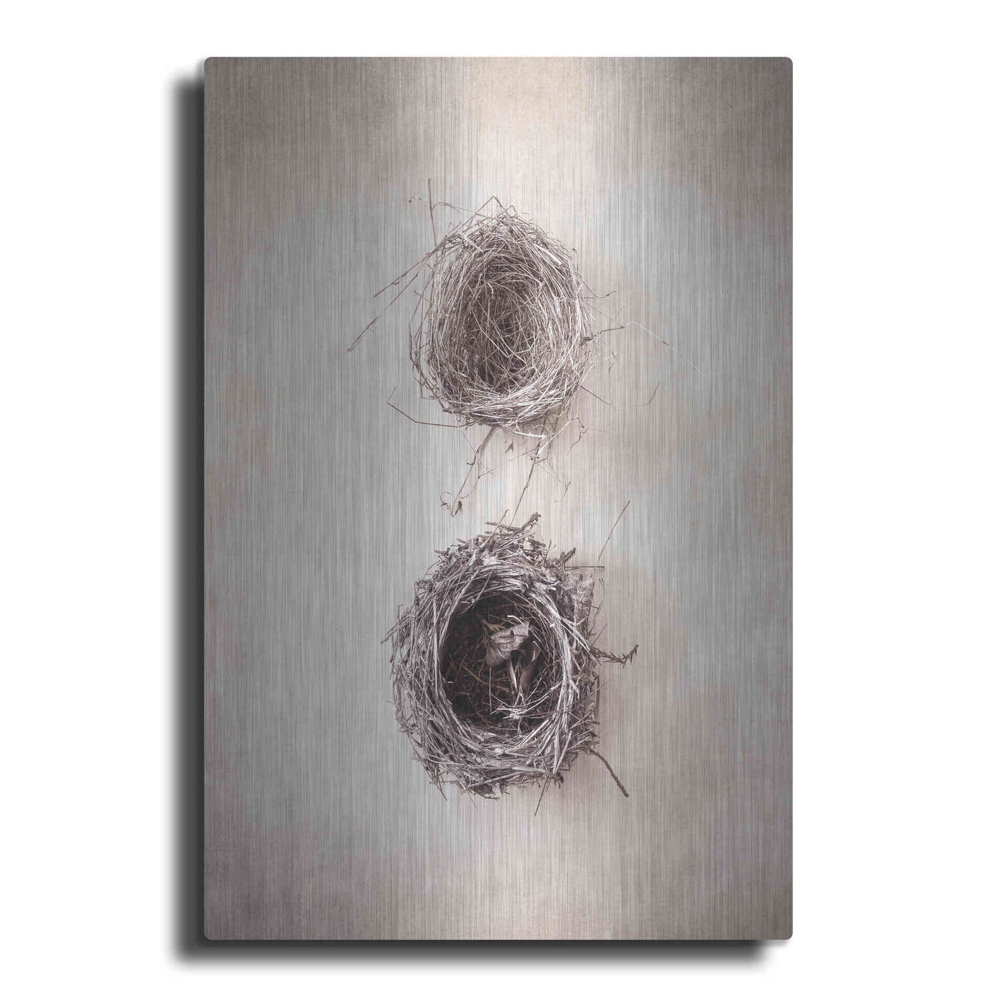 Luxe Metal Art 'Nest IV' by Debra Van Swearingen, Metal Wall Art