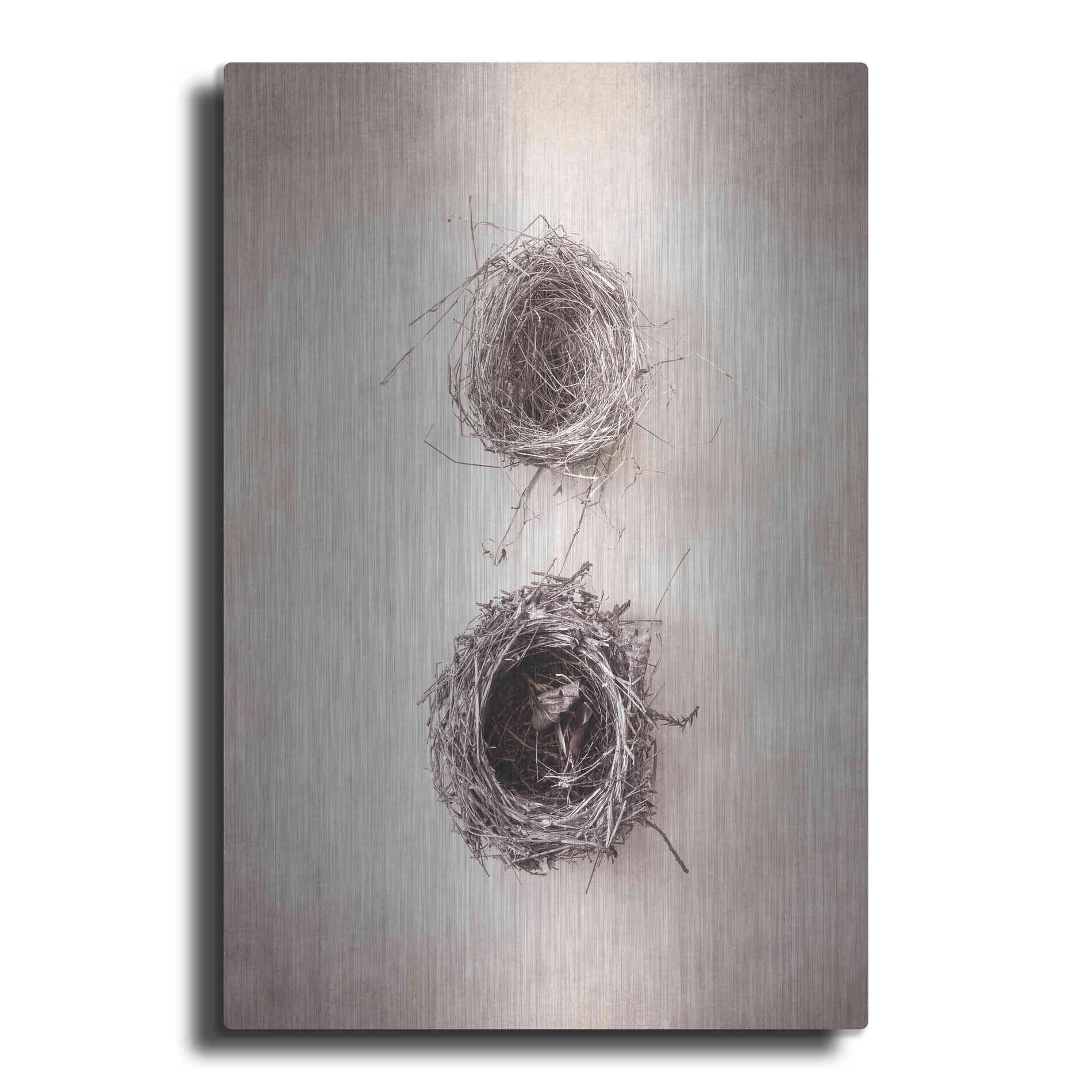 Luxe Metal Art 'Nest IV' by Debra Van Swearingen, Metal Wall Art