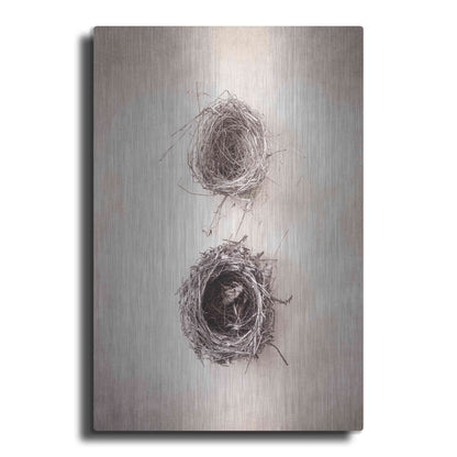 Luxe Metal Art 'Nest IV' by Debra Van Swearingen, Metal Wall Art