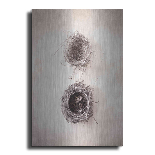 Luxe Metal Art 'Nest IV' by Debra Van Swearingen, Metal Wall Art