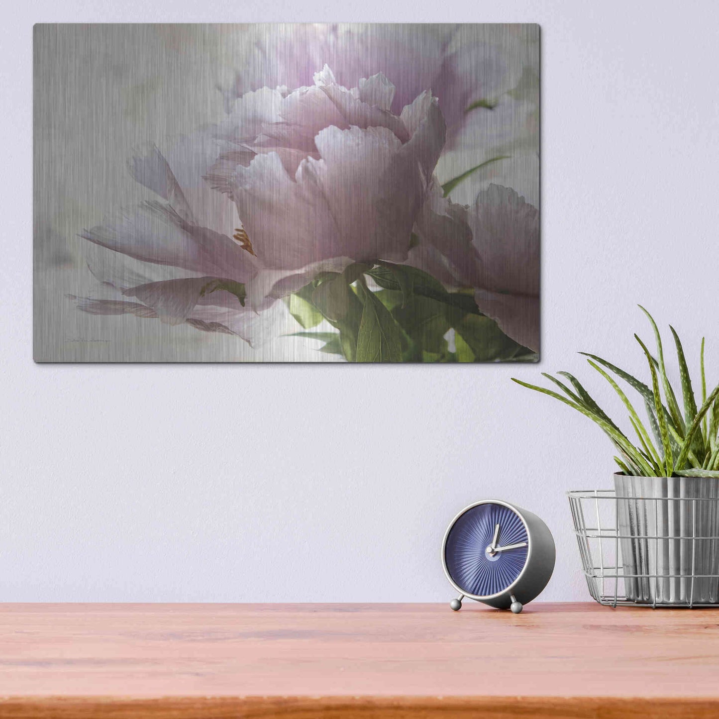 Luxe Metal Art 'Translucent Peony I' by Debra Van Swearingen, Metal Wall Art,16x12