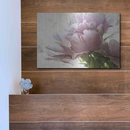 Luxe Metal Art 'Translucent Peony I' by Debra Van Swearingen, Metal Wall Art,16x12