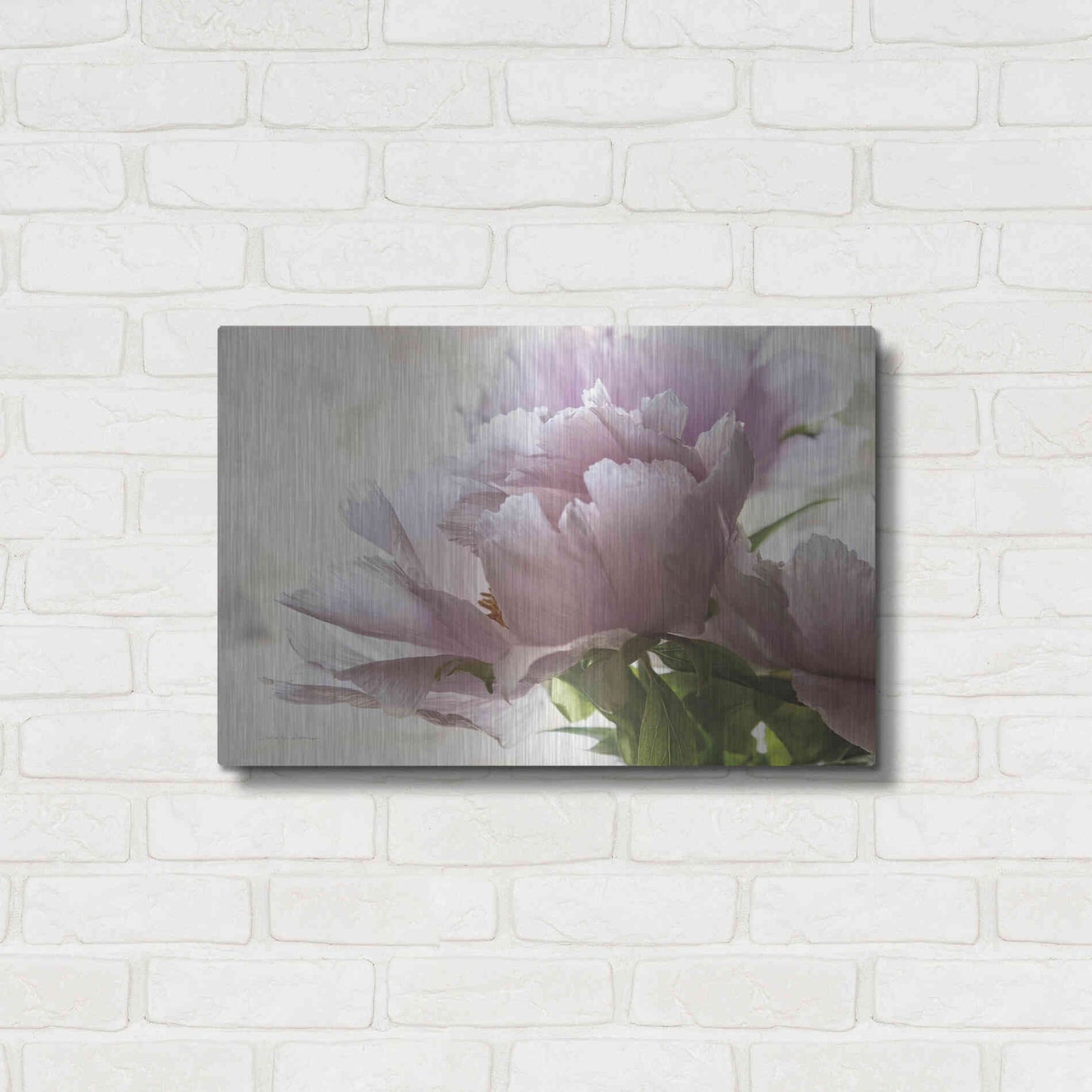 Luxe Metal Art 'Translucent Peony I' by Debra Van Swearingen, Metal Wall Art,24x16