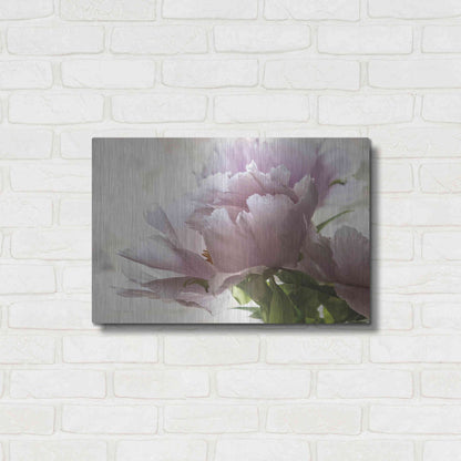 Luxe Metal Art 'Translucent Peony I' by Debra Van Swearingen, Metal Wall Art,24x16