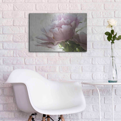 Luxe Metal Art 'Translucent Peony I' by Debra Van Swearingen, Metal Wall Art,24x16