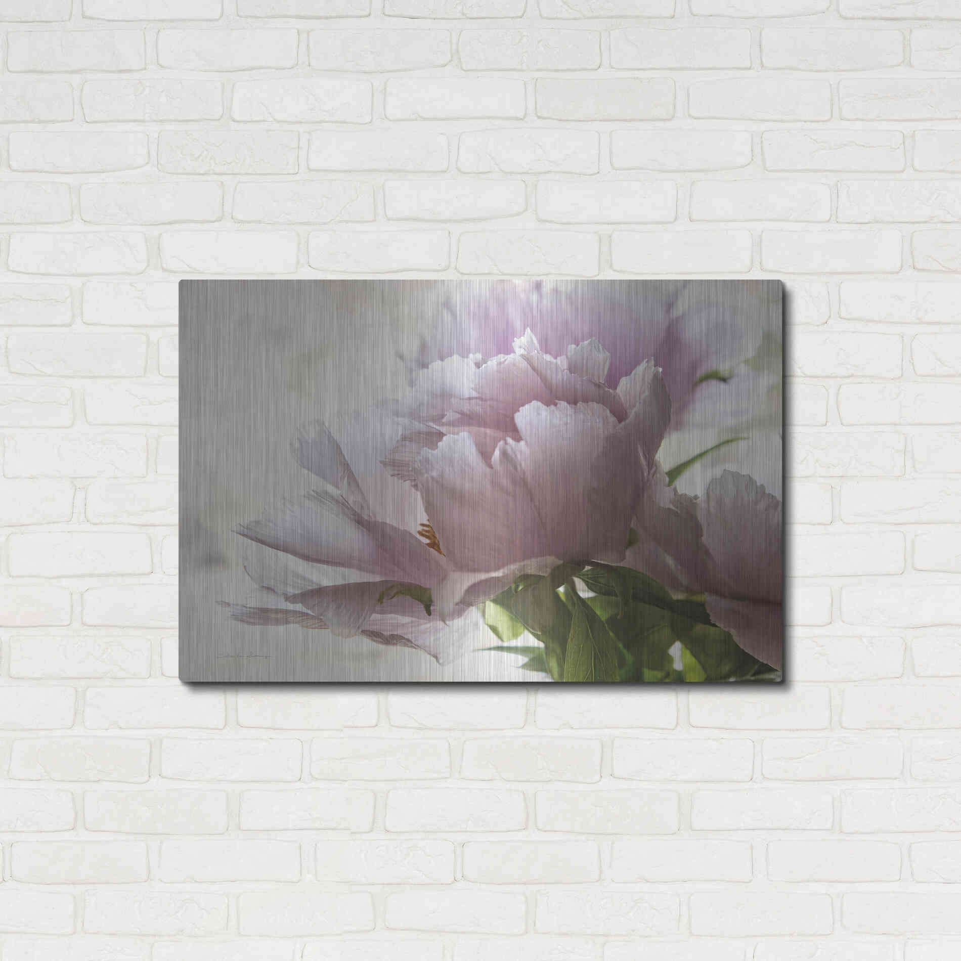 Luxe Metal Art 'Translucent Peony I' by Debra Van Swearingen, Metal Wall Art,36x24