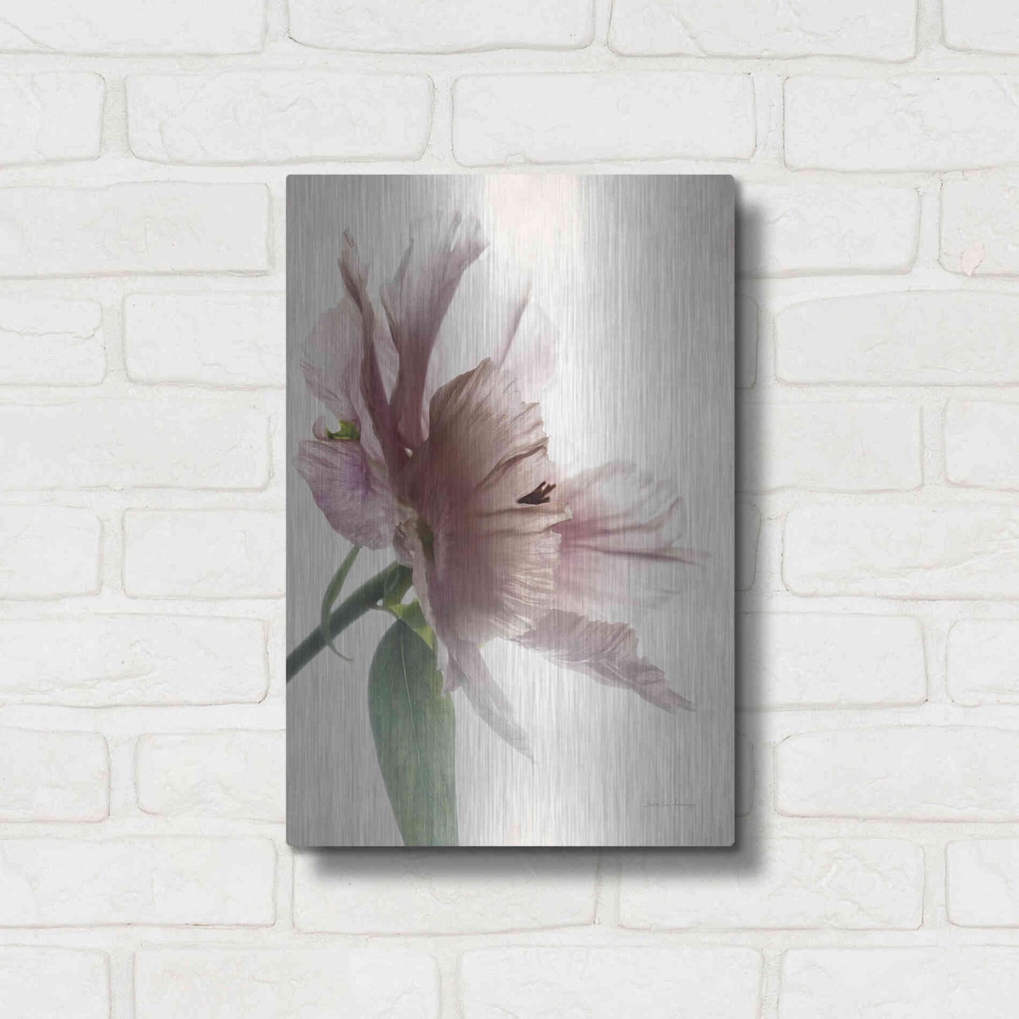 Luxe Metal Art 'Translucent Peony II' by Debra Van Swearingen, Metal Wall Art,12x16