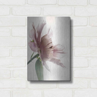 Luxe Metal Art 'Translucent Peony II' by Debra Van Swearingen, Metal Wall Art,12x16