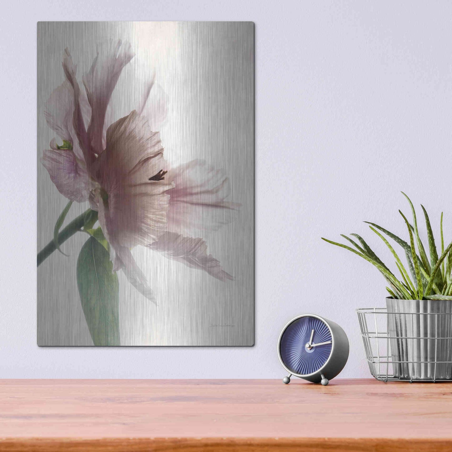 Luxe Metal Art 'Translucent Peony II' by Debra Van Swearingen, Metal Wall Art,12x16