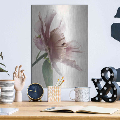 Luxe Metal Art 'Translucent Peony II' by Debra Van Swearingen, Metal Wall Art,12x16