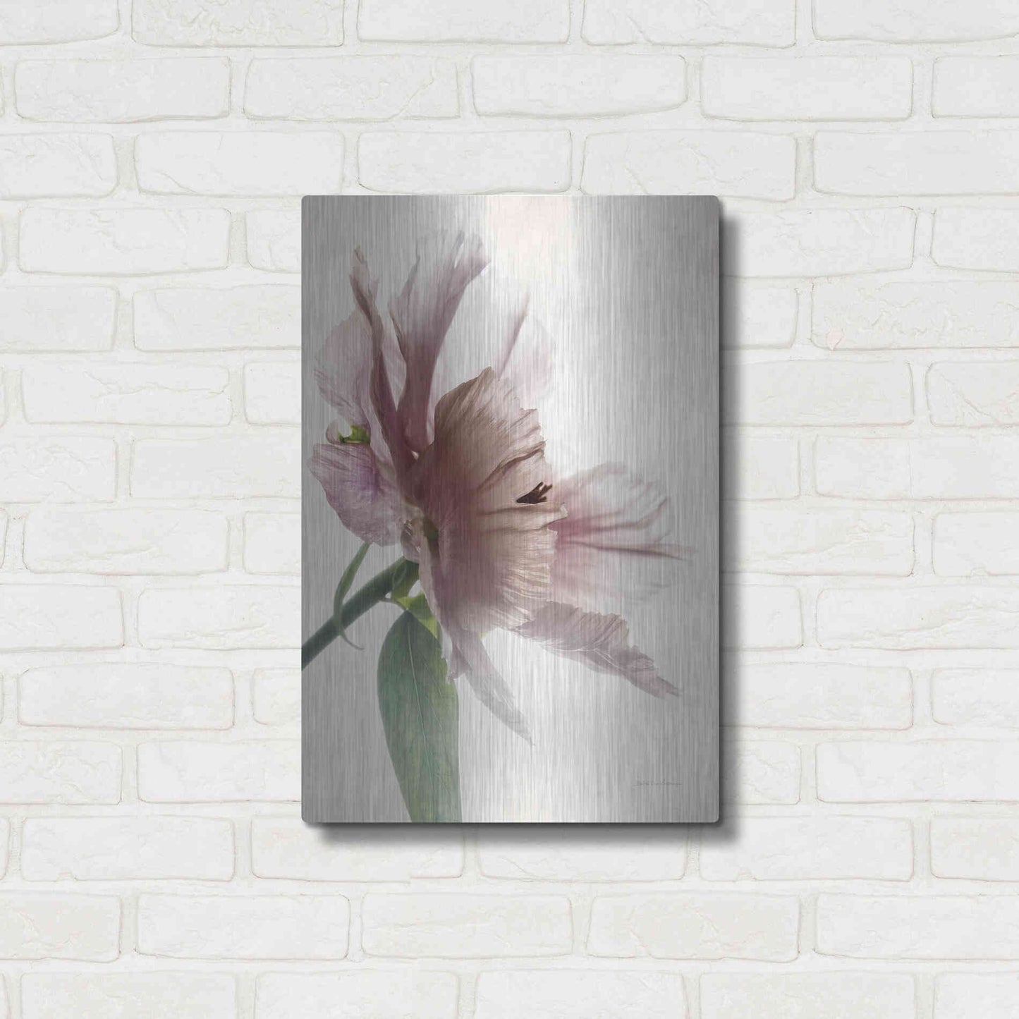 Luxe Metal Art 'Translucent Peony II' by Debra Van Swearingen, Metal Wall Art,16x24