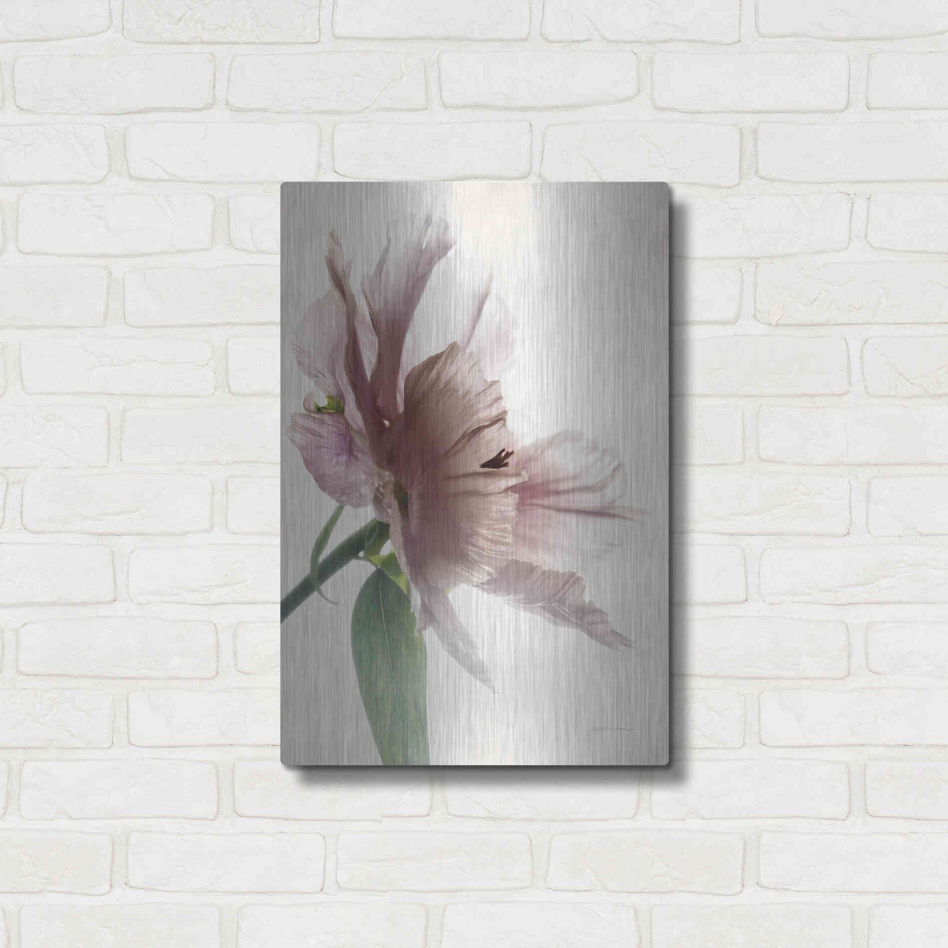Luxe Metal Art 'Translucent Peony II' by Debra Van Swearingen, Metal Wall Art,16x24