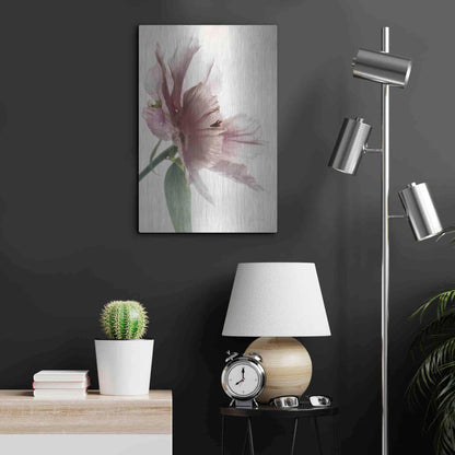 Luxe Metal Art 'Translucent Peony II' by Debra Van Swearingen, Metal Wall Art,16x24