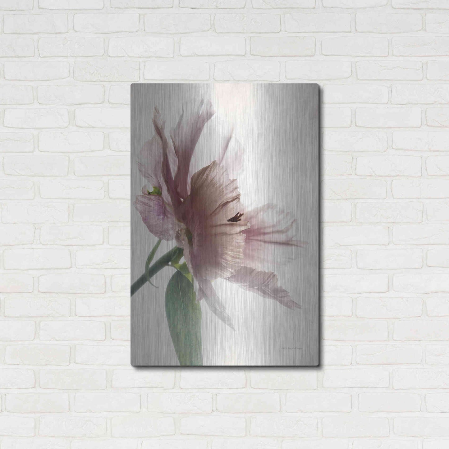 Luxe Metal Art 'Translucent Peony II' by Debra Van Swearingen, Metal Wall Art,24x36