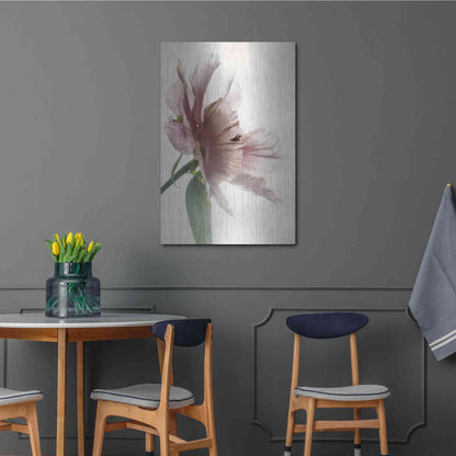 Luxe Metal Art 'Translucent Peony II' by Debra Van Swearingen, Metal Wall Art,24x36
