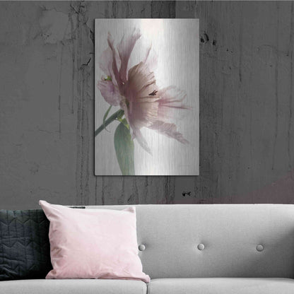 Luxe Metal Art 'Translucent Peony II' by Debra Van Swearingen, Metal Wall Art,24x36