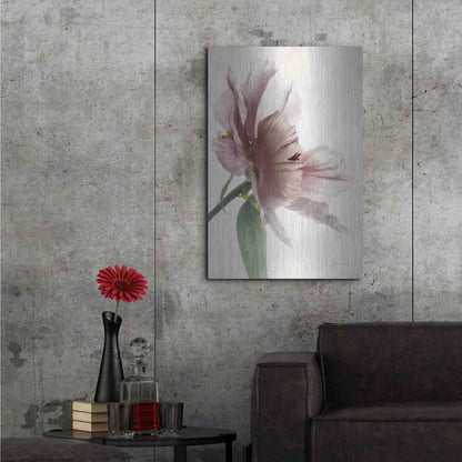 Luxe Metal Art 'Translucent Peony II' by Debra Van Swearingen, Metal Wall Art,24x36