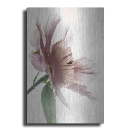 Luxe Metal Art 'Translucent Peony II' by Debra Van Swearingen, Metal Wall Art