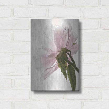 Luxe Metal Art 'Translucent Peony III' by Debra Van Swearingen, Metal Wall Art,12x16