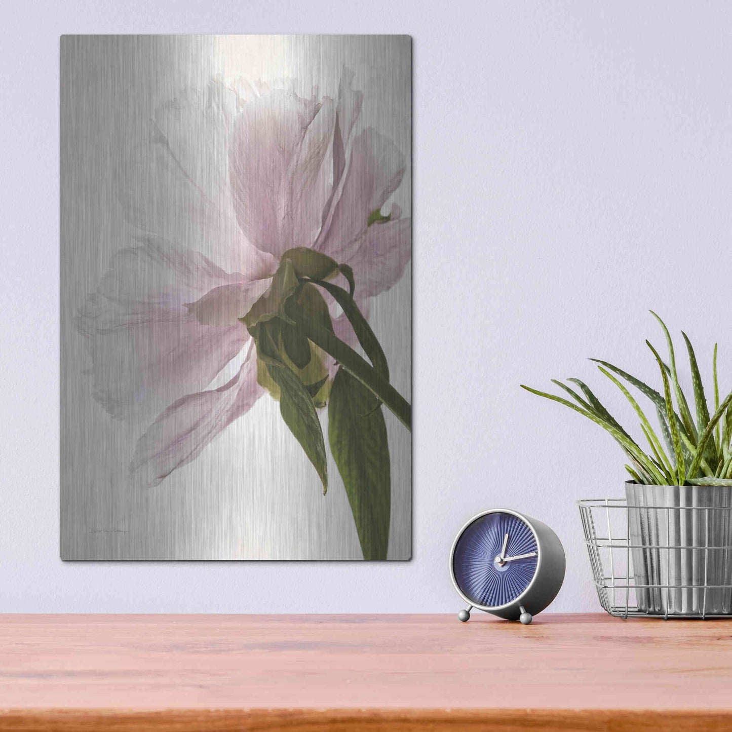 Luxe Metal Art 'Translucent Peony III' by Debra Van Swearingen, Metal Wall Art,12x16